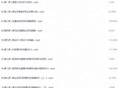 IP 流量操盘手线上训练营，个人 IP 从 0 到 1 流量获取与变现实战教程
