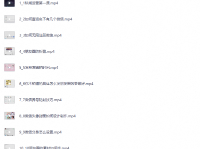 个人IP变现全攻略私域运营
