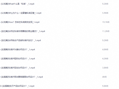 从 0 到 1 打造私域变现商业闭环，私域引流运营成交全套实战课程